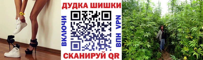 Купить закладку АМФЕТАМИН  Меф  ГАШИШ  Бошки Шишки  Плавск