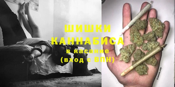 хмурый Касимов