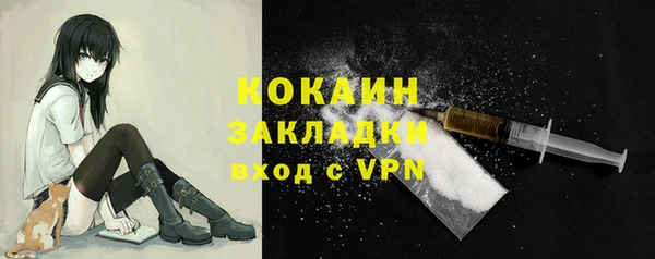 хмурый Касимов