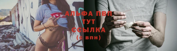хмурый Касимов