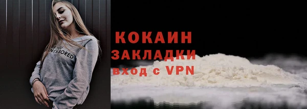 хмурый Касимов