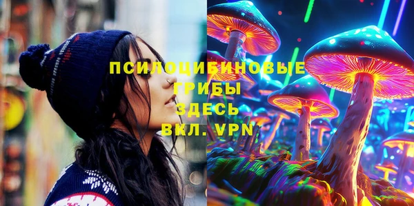 хмурый Касимов