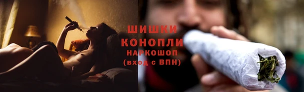 хмурый Касимов