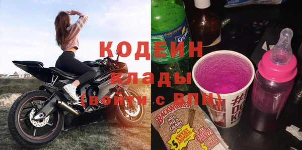 хмурый Касимов