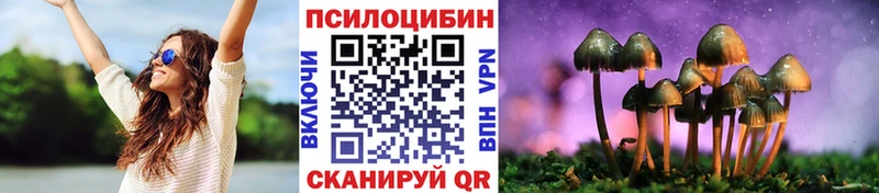 Купить закладки  Плавск  Галлюциногенные грибы Psilocybe 